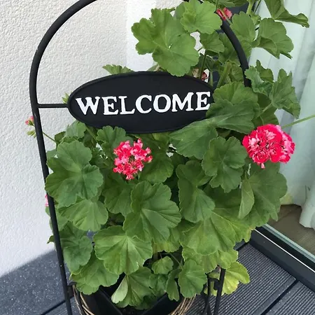 Apartment Ambiente