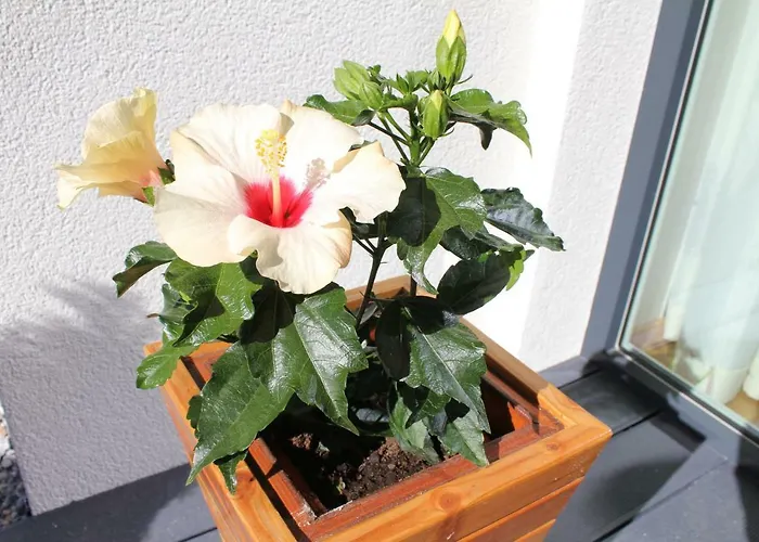 Ambiente Lejlighed Flachau